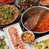 梧桐树下一个人也要吃饱饭！