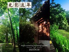 -西溪国家湿地公园