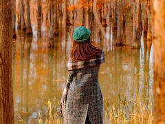 -白鹭湾湿地公园