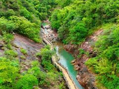 -广州白江湖森林公园