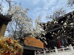 -灵谷景区