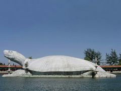 -东方巨龟苑景区