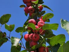 -商丘古城-应天书院