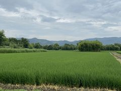 -良渚古城遗址公园