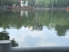 -莲湖公园