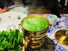 生烫鸡毛菜-卢大鲜鱼头捞饭(美利广场店)