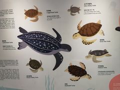 -上海海洋水族馆