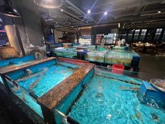 -拉完海鲜大排档(温岭店)