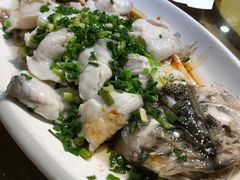 清蒸石斑-沙田鸽王(解放路店)