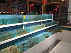 -双海酒店·海鲜家常菜(南戴河店)