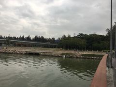 -宝安西湾红树林湿地公园