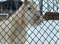 -大连森林动物园