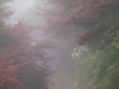 -溪口-滕头旅游景区