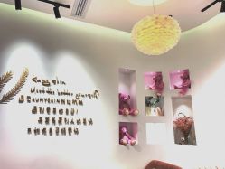 -KS科逆美肤祛痘