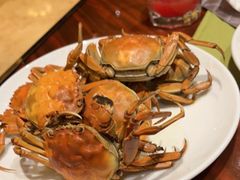 -河北宾馆·香溢自助餐(裕华店)