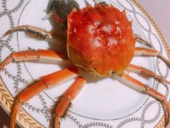 -王宝和酒家(黄浦店)