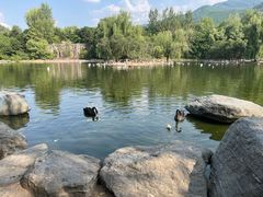 -西安秦岭野生动物园