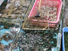 -考记泥焗鸡农庄·海鲜(北洛秘境店)