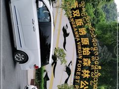 -西双版纳原始森林公园