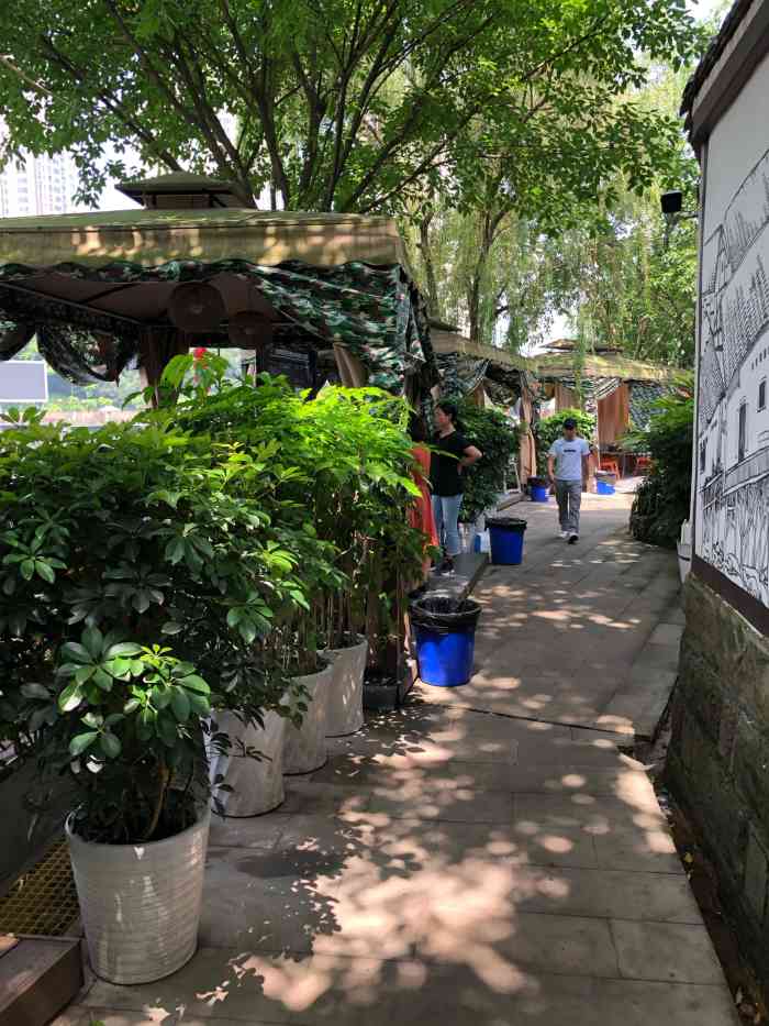 碧湖山庄-"这个感觉有点像城市版农家乐啊,环境挺好的.