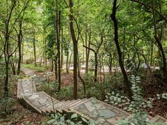 -云溪植物园