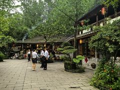 -青城甲(青城山店)