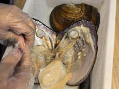 -十八字金·银饰·拼豆·开蚌DIY(魏公芳华里店)