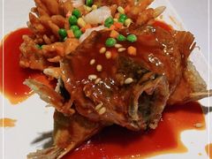 -洋洋中餐馆·SINCE 1997(信投店)
