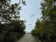 -香炉山国家森林公园