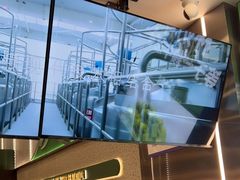 -茉酸奶(春熙路店)