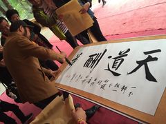 -北海金海湾红树林生态旅游区