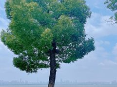 -东湖生态旅游风景区