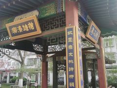 -桃花堤公园