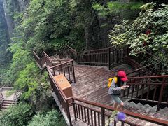 -秦岭天竺山景区