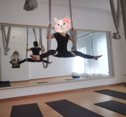 -Y+普拉提·轻抗阻·女子塑形