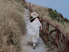 -枸杞岛