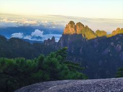 -黄山排云型旅酒店餐厅
