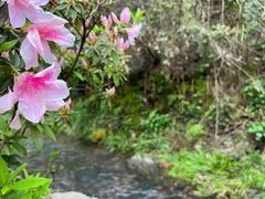 -常德桃花源景区