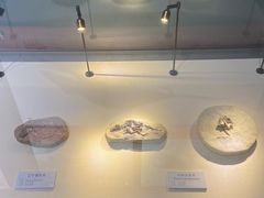 -大连自然博物馆·地球展厅