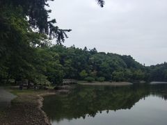 -象山森林公园