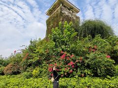 -府河摄影公园