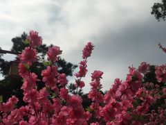 -东莞观音山旅游风景区