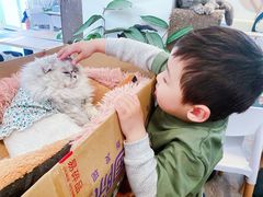 -小时光咖啡馆(北锣鼓巷店)