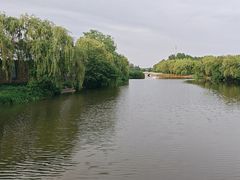 -溱湖国家湿地公园