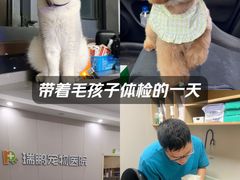 -瑞鹏宠物医院·骨外科·心肾科·肿瘤科(九亭店)
