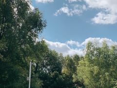 -长白岛森林公园