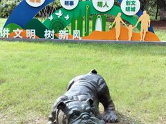 -中央公园(苏州工业园区)