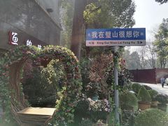 -新概念来凤鱼(璧山店)