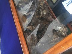-吾穆勒蓬灰牛肉面·清真(北滨河中路店)