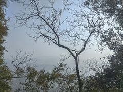 -蜀南竹海景区